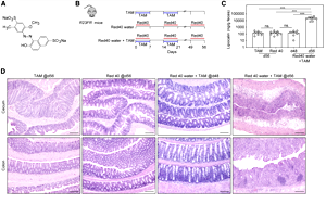 食品中廣泛使用的誘惑紅和落日黃，會(huì)誘導(dǎo)和加速結(jié)腸炎發(fā)展！