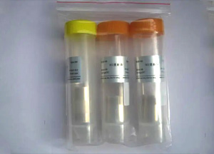 經(jīng)濟型透析袋，RC膜，14 KD，扁平寬度77 mm