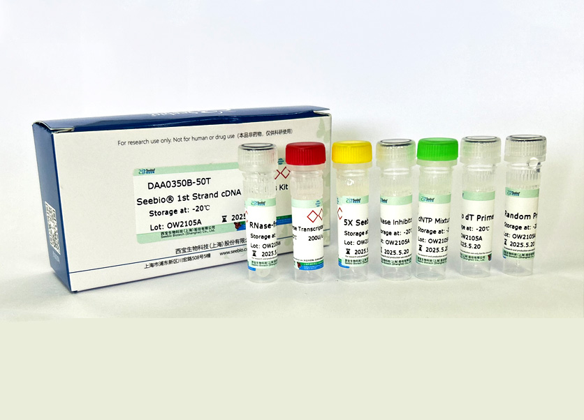 Seebio? 1st Strand cDNA Synthesis Kit Seebio? 1st Strand cDNA Synthesis Kit