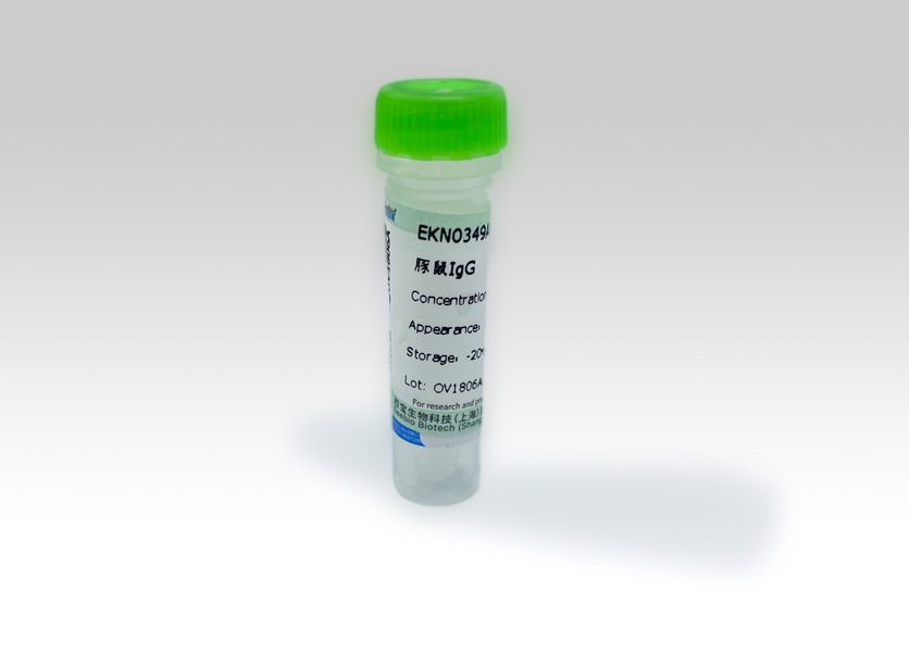 Seebio? 豚鼠IgG Seebio? 豚鼠IgG