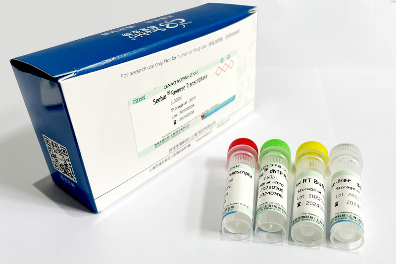 Seebio? sTaq DNA Polymerase (不含dNTP，free Mg2+  Buffer)