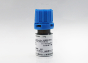 共脂肪酶 共脂肪酶