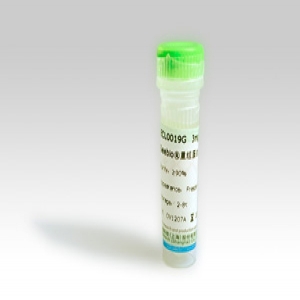 Seebio? 重組蛋白A（rProtein A，ZZZ-HS型）