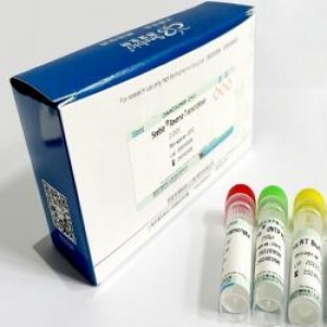 Seebio? sTaq DNA Polymerase (不含dNTP，free Mg2+  Buffer)