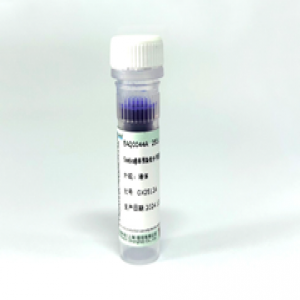 Seebio?非預(yù)染低分子量蛋白質(zhì)分子量標準，3.1~41?kDa