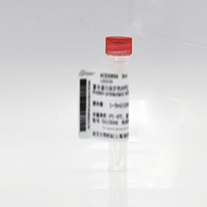 胃蛋白酶原I（PGI）抗體（鼠源），包被